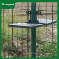Забор сетки 50 * 100mm покрынный PVC с сертификатом ISO9001